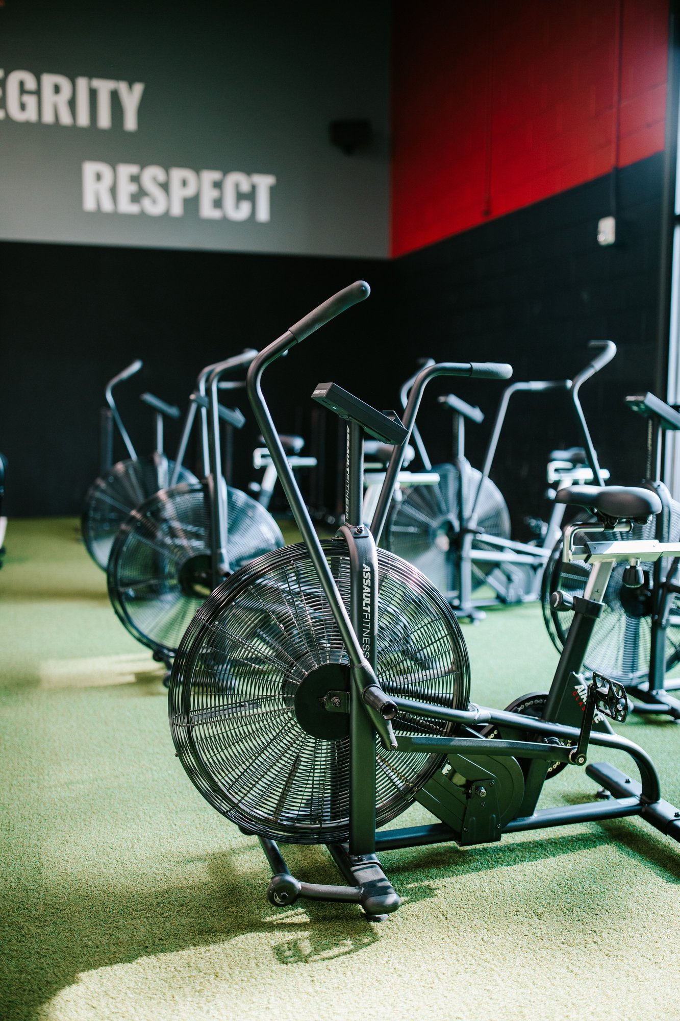 Cardio Equipment