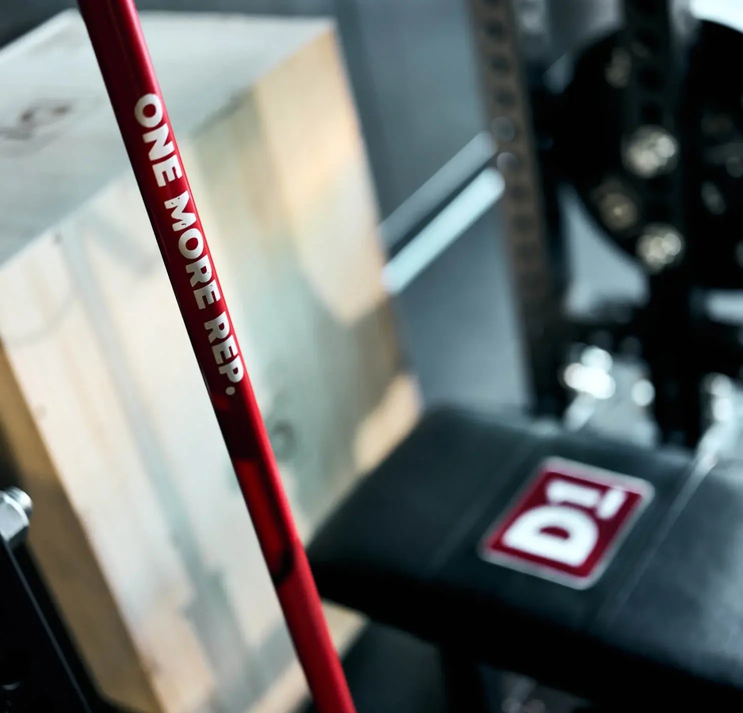 D1 standard fitness equipment
